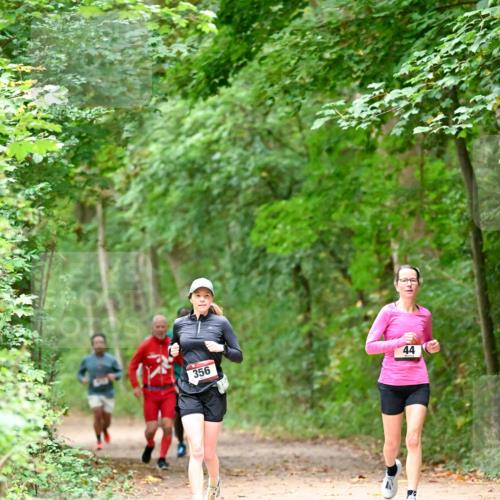 11.10.2026 - Bramfelder Halbmarathon 2026 Dr. Thomas Lammeyer http://msf.ph/oto/10821061 11.10.2026 10:24:10 Laufen 356, 44 meine-sportfotos.de