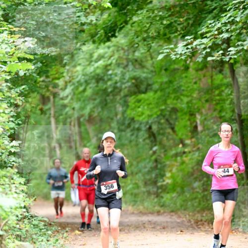 11.10.2026 - Bramfelder Halbmarathon 2026 Dr. Thomas Lammeyer http://msf.ph/oto/10821065 11.10.2026 10:24:10 Laufen 356, 44 meine-sportfotos.de