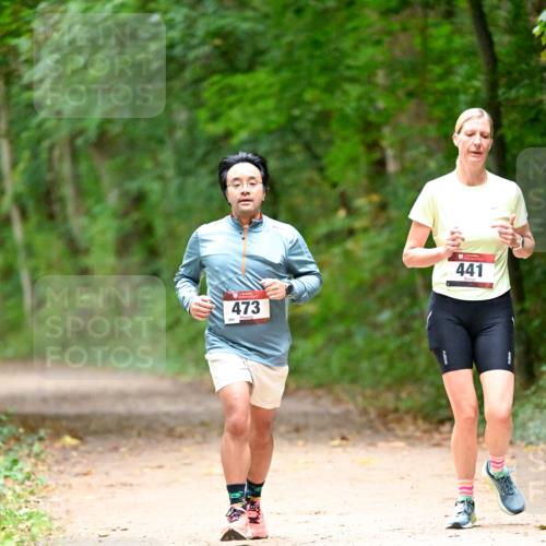 11.10.2026 - Bramfelder Halbmarathon 2026 Dr. Thomas Lammeyer http://msf.ph/oto/10821101 11.10.2026 10:24:20 Laufen 473, 441 meine-sportfotos.de