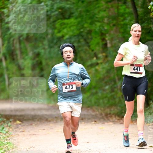 11.10.2026 - Bramfelder Halbmarathon 2026 Dr. Thomas Lammeyer http://msf.ph/oto/10821102 11.10.2026 10:24:20 Laufen 473, 441 meine-sportfotos.de