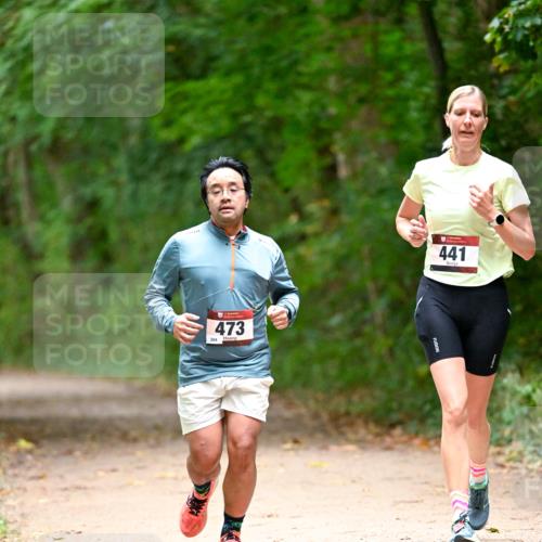 11.10.2026 - Bramfelder Halbmarathon 2026 Dr. Thomas Lammeyer http://msf.ph/oto/10821105 11.10.2026 10:24:21 Laufen 473, 284, 441 meine-sportfotos.de