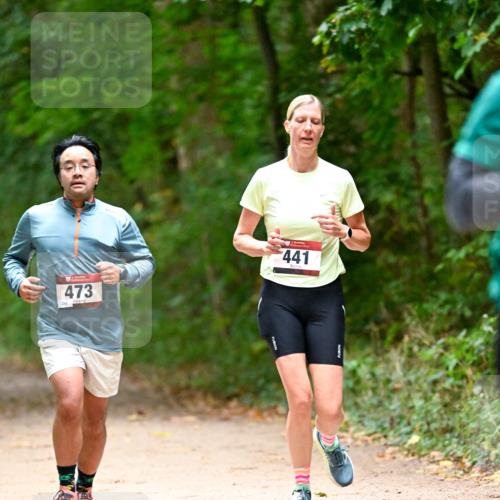 11.10.2026 - Bramfelder Halbmarathon 2026 Dr. Thomas Lammeyer http://msf.ph/oto/10821106 11.10.2026 10:24:21 Laufen 473, 441 meine-sportfotos.de
