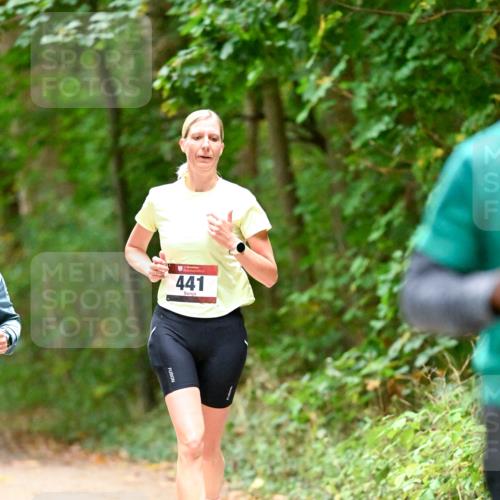 11.10.2026 - Bramfelder Halbmarathon 2026 Dr. Thomas Lammeyer http://msf.ph/oto/10821107 11.10.2026 10:24:21 Laufen 441 meine-sportfotos.de