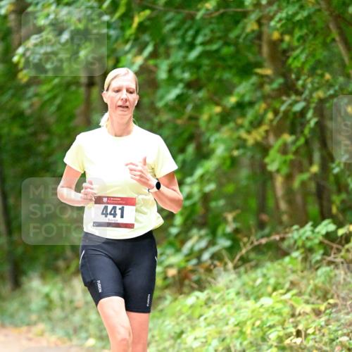 11.10.2026 - Bramfelder Halbmarathon 2026 Dr. Thomas Lammeyer http://msf.ph/oto/10821113 11.10.2026 10:24:22 Laufen 441 meine-sportfotos.de