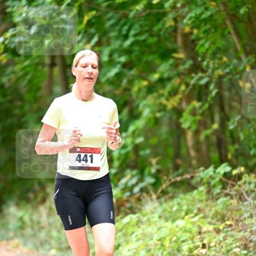 11.10.2026 - Bramfelder Halbmarathon 2026 Dr. Thomas Lammeyer http://msf.ph/oto/10821114 11.10.2026 10:24:22 Laufen 441 meine-sportfotos.de