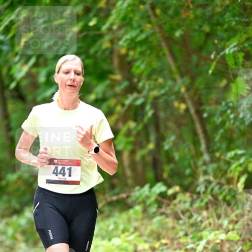 11.10.2026 - Bramfelder Halbmarathon 2026 Dr. Thomas Lammeyer http://msf.ph/oto/10821118 11.10.2026 10:24:23 Laufen 35, 441 meine-sportfotos.de