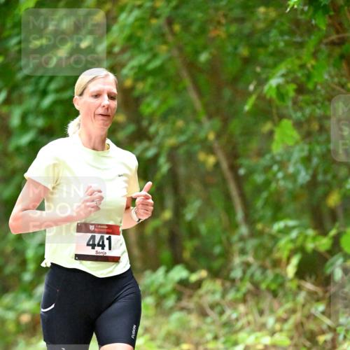 11.10.2026 - Bramfelder Halbmarathon 2026 Dr. Thomas Lammeyer http://msf.ph/oto/10821120 11.10.2026 10:24:23 Laufen 35, 441 meine-sportfotos.de