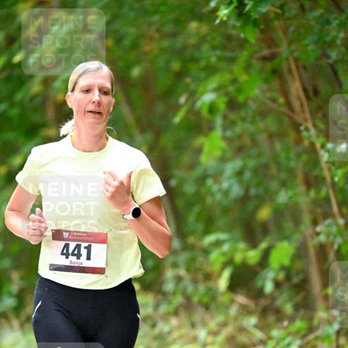 11.10.2026 - Bramfelder Halbmarathon 2026 Dr. Thomas Lammeyer http://msf.ph/oto/10821123 11.10.2026 10:24:23 Laufen 35, 441 meine-sportfotos.de