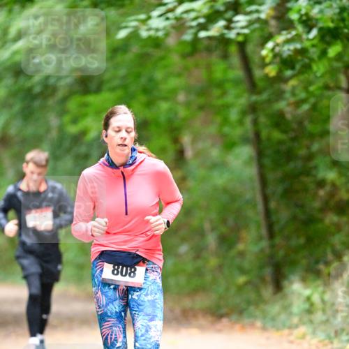 11.10.2026 - Bramfelder Halbmarathon 2026 Dr. Thomas Lammeyer http://msf.ph/oto/10821154 11.10.2026 10:24:44 Laufen 808 meine-sportfotos.de