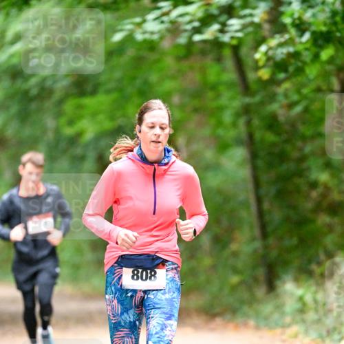11.10.2026 - Bramfelder Halbmarathon 2026 Dr. Thomas Lammeyer http://msf.ph/oto/10821156 11.10.2026 10:24:45 Laufen 808 meine-sportfotos.de