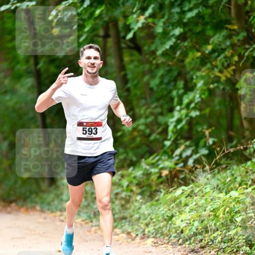 11.10.2026 - Bramfelder Halbmarathon 2026 Dr. Thomas Lammeyer http://msf.ph/oto/10821204 11.10.2026 10:24:56 Laufen 593 meine-sportfotos.de