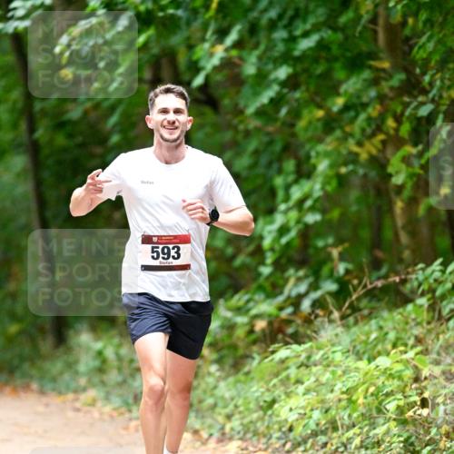 11.10.2026 - Bramfelder Halbmarathon 2026 Dr. Thomas Lammeyer http://msf.ph/oto/10821206 11.10.2026 10:24:57 Laufen 593 meine-sportfotos.de