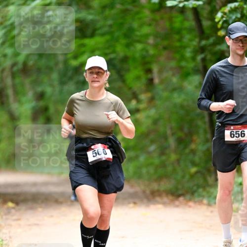 11.10.2026 - Bramfelder Halbmarathon 2026 Dr. Thomas Lammeyer http://msf.ph/oto/10821254 11.10.2026 10:25:08 Laufen 560, 656 meine-sportfotos.de