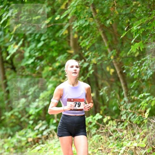 11.10.2026 - Bramfelder Halbmarathon 2026 Dr. Thomas Lammeyer http://msf.ph/oto/10821310 11.10.2026 10:25:59 Laufen 79 meine-sportfotos.de