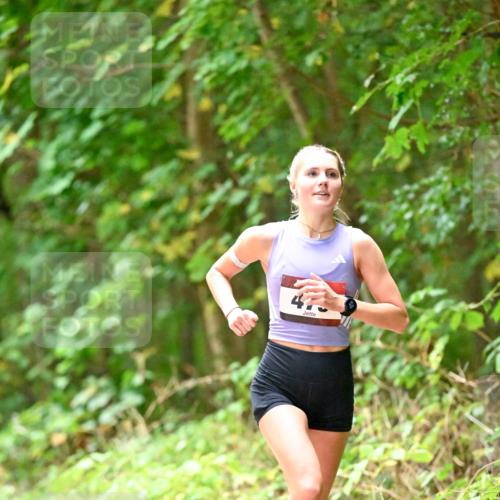 11.10.2026 - Bramfelder Halbmarathon 2026 Dr. Thomas Lammeyer http://msf.ph/oto/10821313 11.10.2026 10:26:00 Laufen  meine-sportfotos.de