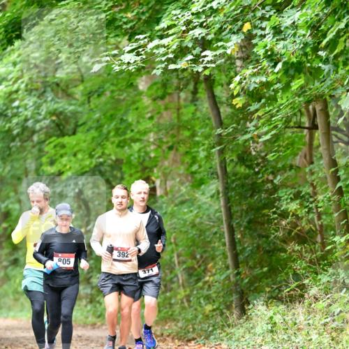 11.10.2026 - Bramfelder Halbmarathon 2026 Dr. Thomas Lammeyer http://msf.ph/oto/10821315 11.10.2026 10:26:09 Laufen 05, 392, 371 meine-sportfotos.de