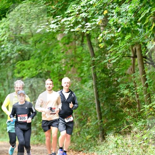 11.10.2026 - Bramfelder Halbmarathon 2026 Dr. Thomas Lammeyer http://msf.ph/oto/10821318 11.10.2026 10:26:10 Laufen 805, 92, 371 meine-sportfotos.de