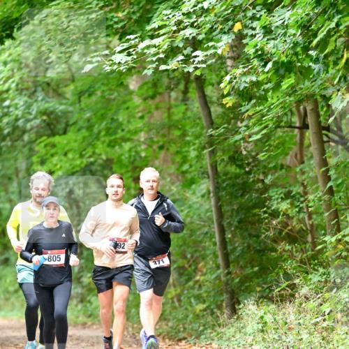 11.10.2026 - Bramfelder Halbmarathon 2026 Dr. Thomas Lammeyer http://msf.ph/oto/10821319 11.10.2026 10:26:10 Laufen 805, 92, 371 meine-sportfotos.de