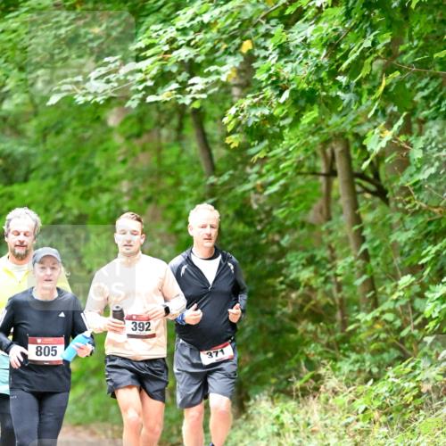 11.10.2026 - Bramfelder Halbmarathon 2026 Dr. Thomas Lammeyer http://msf.ph/oto/10821332 11.10.2026 10:26:12 Laufen 805, 392, 371 meine-sportfotos.de