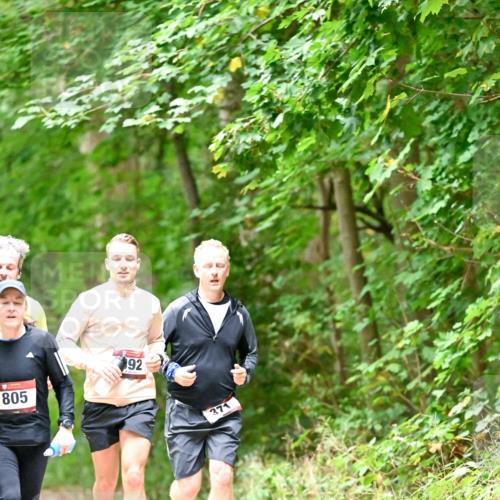 11.10.2026 - Bramfelder Halbmarathon 2026 Dr. Thomas Lammeyer http://msf.ph/oto/10821334 11.10.2026 10:26:12 Laufen 805, 2, 92, 371 meine-sportfotos.de