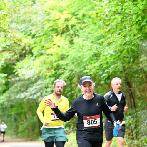 11.10.2026 - Bramfelder Halbmarathon 2026 Dr. Thomas Lammeyer http://msf.ph/oto/10821356 11.10.2026 10:26:16 Laufen 805 meine-sportfotos.de
