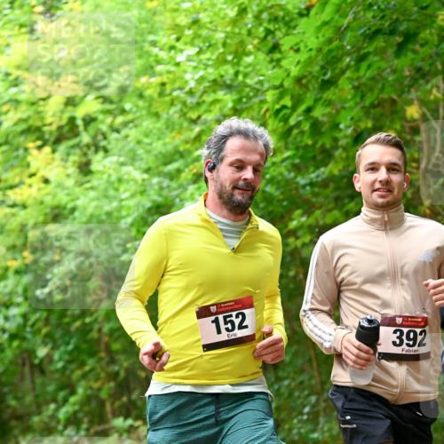 11.10.2026 - Bramfelder Halbmarathon 2026 Dr. Thomas Lammeyer http://msf.ph/oto/10821362 11.10.2026 10:26:18 Laufen 35, 152, 35, 392 meine-sportfotos.de
