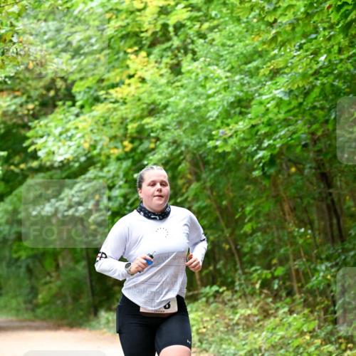 11.10.2026 - Bramfelder Halbmarathon 2026 Dr. Thomas Lammeyer http://msf.ph/oto/10821380 11.10.2026 10:26:27 Laufen  meine-sportfotos.de