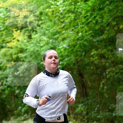11.10.2026 - Bramfelder Halbmarathon 2026 Dr. Thomas Lammeyer http://msf.ph/oto/10821385 11.10.2026 10:26:28 Laufen  meine-sportfotos.de