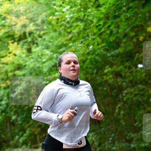 11.10.2026 - Bramfelder Halbmarathon 2026 Dr. Thomas Lammeyer http://msf.ph/oto/10821386 11.10.2026 10:26:28 Laufen  meine-sportfotos.de