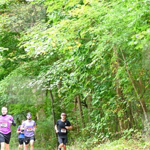 11.10.2026 - Bramfelder Halbmarathon 2026 Dr. Thomas Lammeyer http://msf.ph/oto/10821390 11.10.2026 10:26:55 Laufen 565, 444, 439, 327 meine-sportfotos.de