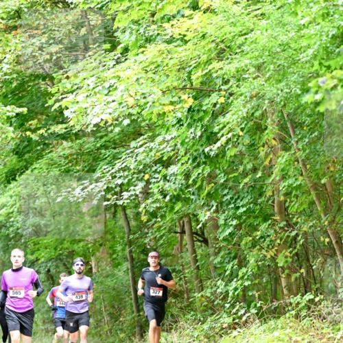 11.10.2026 - Bramfelder Halbmarathon 2026 Dr. Thomas Lammeyer http://msf.ph/oto/10821391 11.10.2026 10:26:55 Laufen 565, 444, 439, 327 meine-sportfotos.de