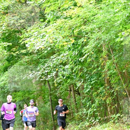 11.10.2026 - Bramfelder Halbmarathon 2026 Dr. Thomas Lammeyer http://msf.ph/oto/10821392 11.10.2026 10:26:55 Laufen 565, 44, 439, 327 meine-sportfotos.de