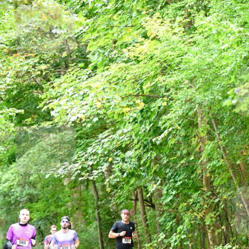 11.10.2026 - Bramfelder Halbmarathon 2026 Dr. Thomas Lammeyer http://msf.ph/oto/10821394 11.10.2026 10:26:56 Laufen 565, 439, 327 meine-sportfotos.de