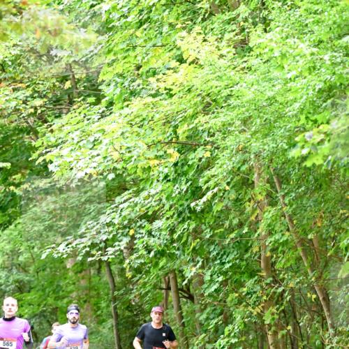 11.10.2026 - Bramfelder Halbmarathon 2026 Dr. Thomas Lammeyer http://msf.ph/oto/10821395 11.10.2026 10:26:56 Laufen 565, 444, 439, 327 meine-sportfotos.de