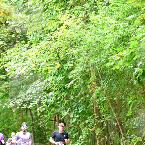 11.10.2026 - Bramfelder Halbmarathon 2026 Dr. Thomas Lammeyer http://msf.ph/oto/10821400 11.10.2026 10:26:56 Laufen 444, 439, 327 meine-sportfotos.de