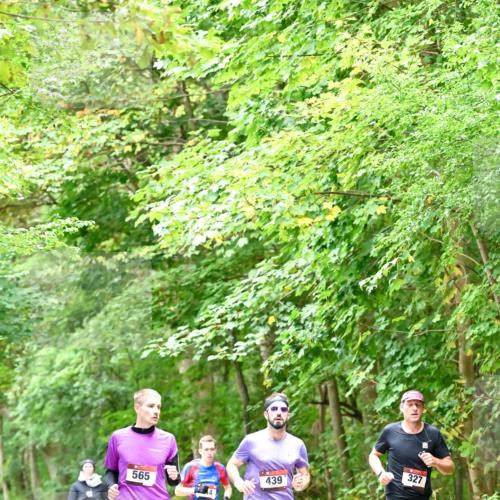 11.10.2026 - Bramfelder Halbmarathon 2026 Dr. Thomas Lammeyer http://msf.ph/oto/10821404 11.10.2026 10:26:57 Laufen 495, 565, 439, 327 meine-sportfotos.de