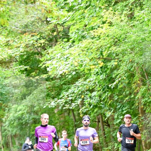 11.10.2026 - Bramfelder Halbmarathon 2026 Dr. Thomas Lammeyer http://msf.ph/oto/10821405 11.10.2026 10:26:57 Laufen 565, 444, 439, 327 meine-sportfotos.de