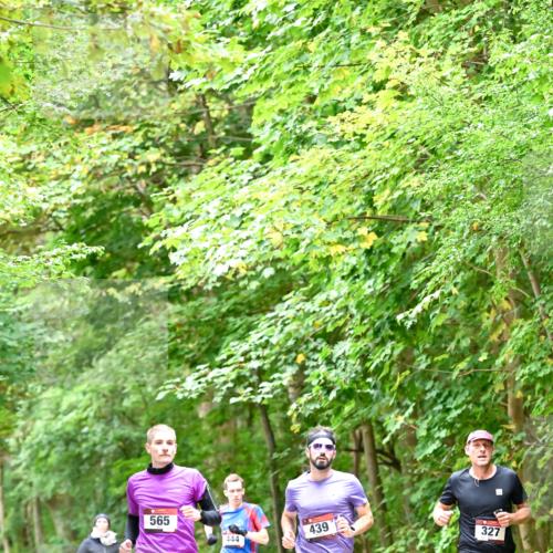 11.10.2026 - Bramfelder Halbmarathon 2026 Dr. Thomas Lammeyer http://msf.ph/oto/10821406 11.10.2026 10:26:57 Laufen 565, 444, 439, 327 meine-sportfotos.de