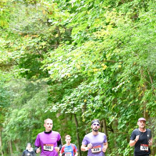 11.10.2026 - Bramfelder Halbmarathon 2026 Dr. Thomas Lammeyer http://msf.ph/oto/10821407 11.10.2026 10:26:58 Laufen 495, 565, 444, 439, 327 meine-sportfotos.de