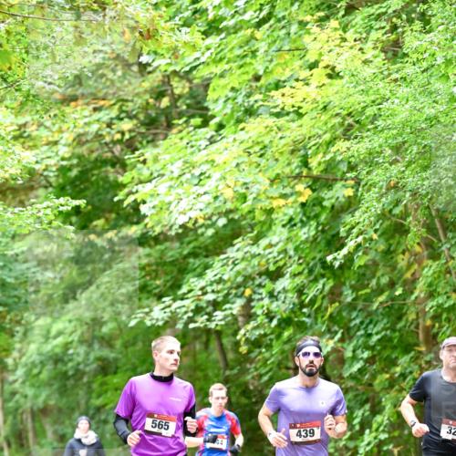 11.10.2026 - Bramfelder Halbmarathon 2026 Dr. Thomas Lammeyer http://msf.ph/oto/10821408 11.10.2026 10:26:58 Laufen 565, 14, 439, 32 meine-sportfotos.de