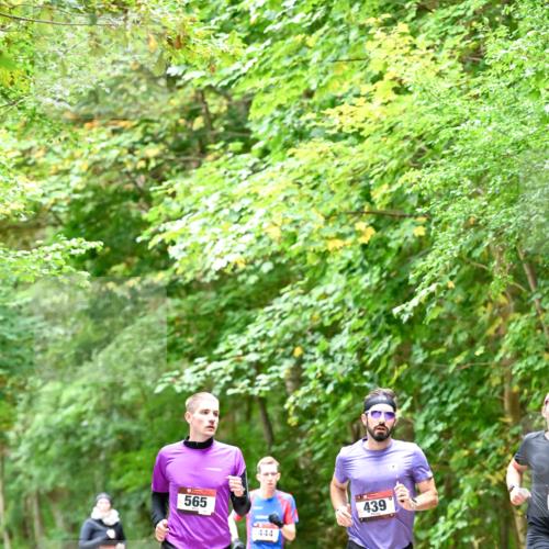 11.10.2026 - Bramfelder Halbmarathon 2026 Dr. Thomas Lammeyer http://msf.ph/oto/10821409 11.10.2026 10:26:58 Laufen 565, 444, 439 meine-sportfotos.de