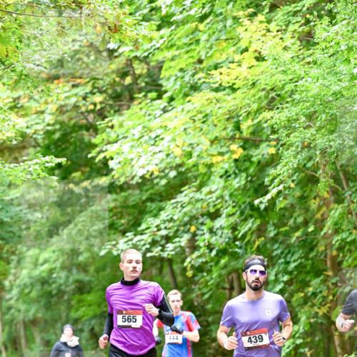 11.10.2026 - Bramfelder Halbmarathon 2026 Dr. Thomas Lammeyer http://msf.ph/oto/10821410 11.10.2026 10:26:58 Laufen 565, 444, 439 meine-sportfotos.de