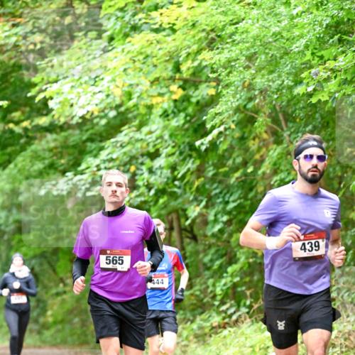 11.10.2026 - Bramfelder Halbmarathon 2026 Dr. Thomas Lammeyer http://msf.ph/oto/10821413 11.10.2026 10:26:59 Laufen 565, 444, 439 meine-sportfotos.de