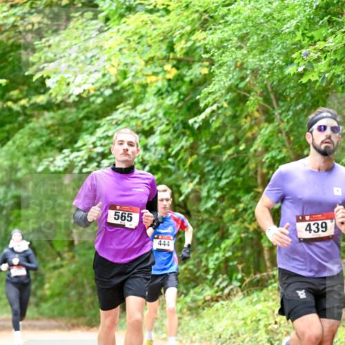 11.10.2026 - Bramfelder Halbmarathon 2026 Dr. Thomas Lammeyer http://msf.ph/oto/10821414 11.10.2026 10:26:59 Laufen 565, 87, 439, 444 meine-sportfotos.de