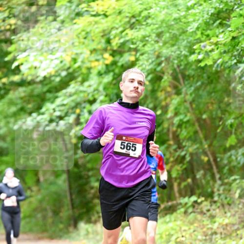 11.10.2026 - Bramfelder Halbmarathon 2026 Dr. Thomas Lammeyer http://msf.ph/oto/10821420 11.10.2026 10:27:00 Laufen 565, 87 meine-sportfotos.de
