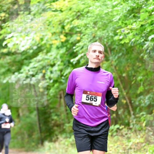 11.10.2026 - Bramfelder Halbmarathon 2026 Dr. Thomas Lammeyer http://msf.ph/oto/10821422 11.10.2026 10:27:00 Laufen 565, 87 meine-sportfotos.de