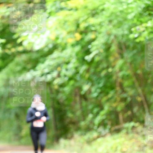 11.10.2026 - Bramfelder Halbmarathon 2026 Dr. Thomas Lammeyer http://msf.ph/oto/10821428 11.10.2026 10:27:01 Laufen  meine-sportfotos.de