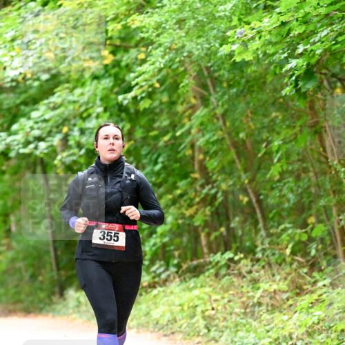11.10.2026 - Bramfelder Halbmarathon 2026 Dr. Thomas Lammeyer http://msf.ph/oto/10821465 11.10.2026 10:27:21 Laufen 355 meine-sportfotos.de