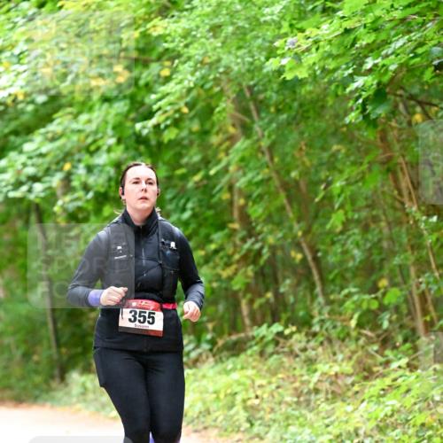 11.10.2026 - Bramfelder Halbmarathon 2026 Dr. Thomas Lammeyer http://msf.ph/oto/10821466 11.10.2026 10:27:21 Laufen 355 meine-sportfotos.de