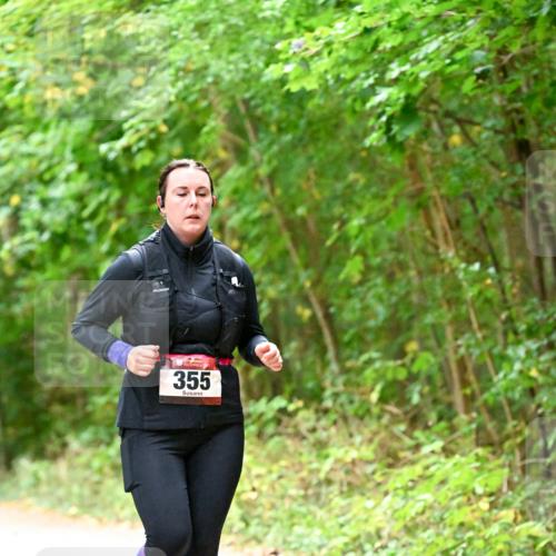 11.10.2026 - Bramfelder Halbmarathon 2026 Dr. Thomas Lammeyer http://msf.ph/oto/10821469 11.10.2026 10:27:22 Laufen 355 meine-sportfotos.de